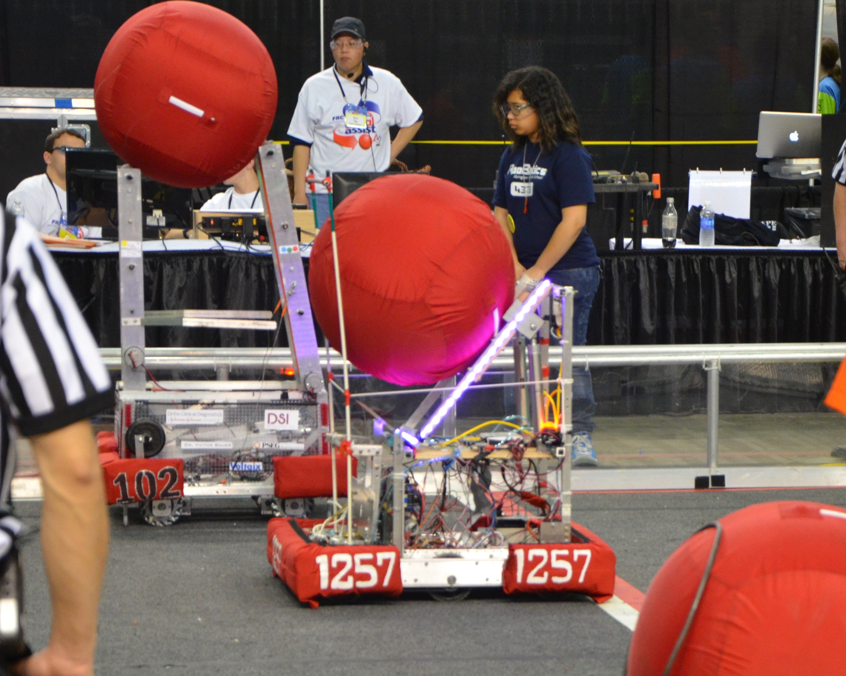 Clapping Cymbal Monkey (2014)